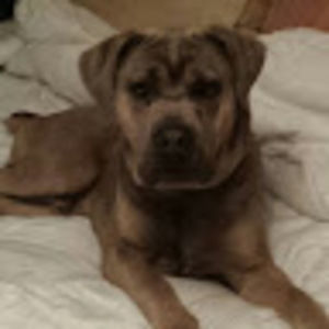 Meet your Posher, Tori